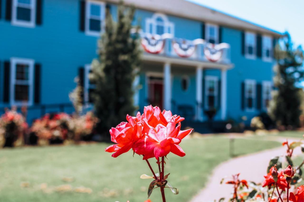 La Bastide Bed And Breakfast Dundee Ngoại thất bức ảnh